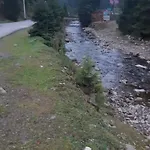 лісова тиша номер - 1 Appartement *
