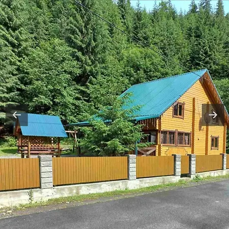 Apartment лісова тиша номер - 1 Synevyrsʼka Polyana