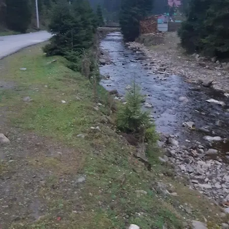 лісова тиша номер - 1 公寓 *