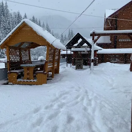 лісова тиша номер - 1 * Synevyrsʼka Polyana
