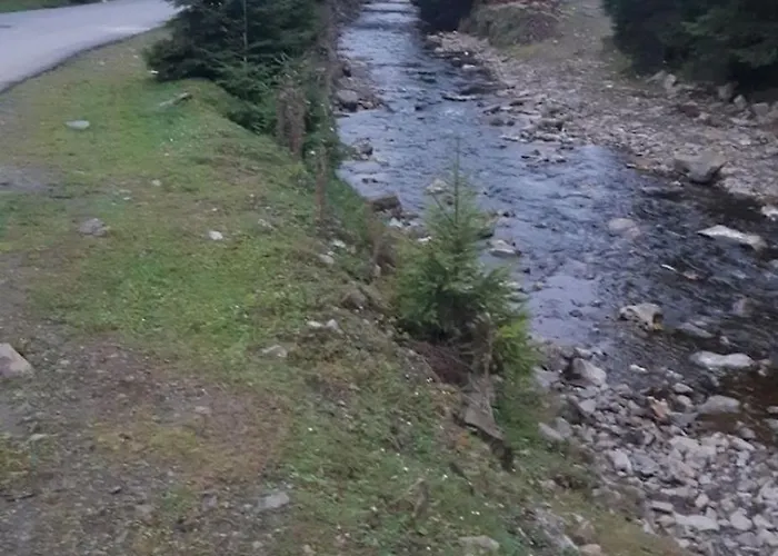 лісова тиша номер - 1 公寓 *